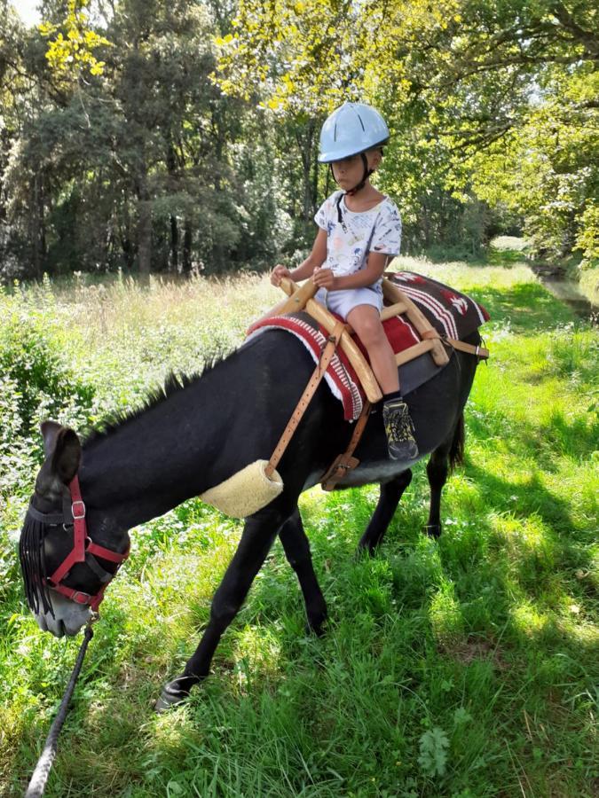 Gite En Comminges Franquevielle Buitenkant foto