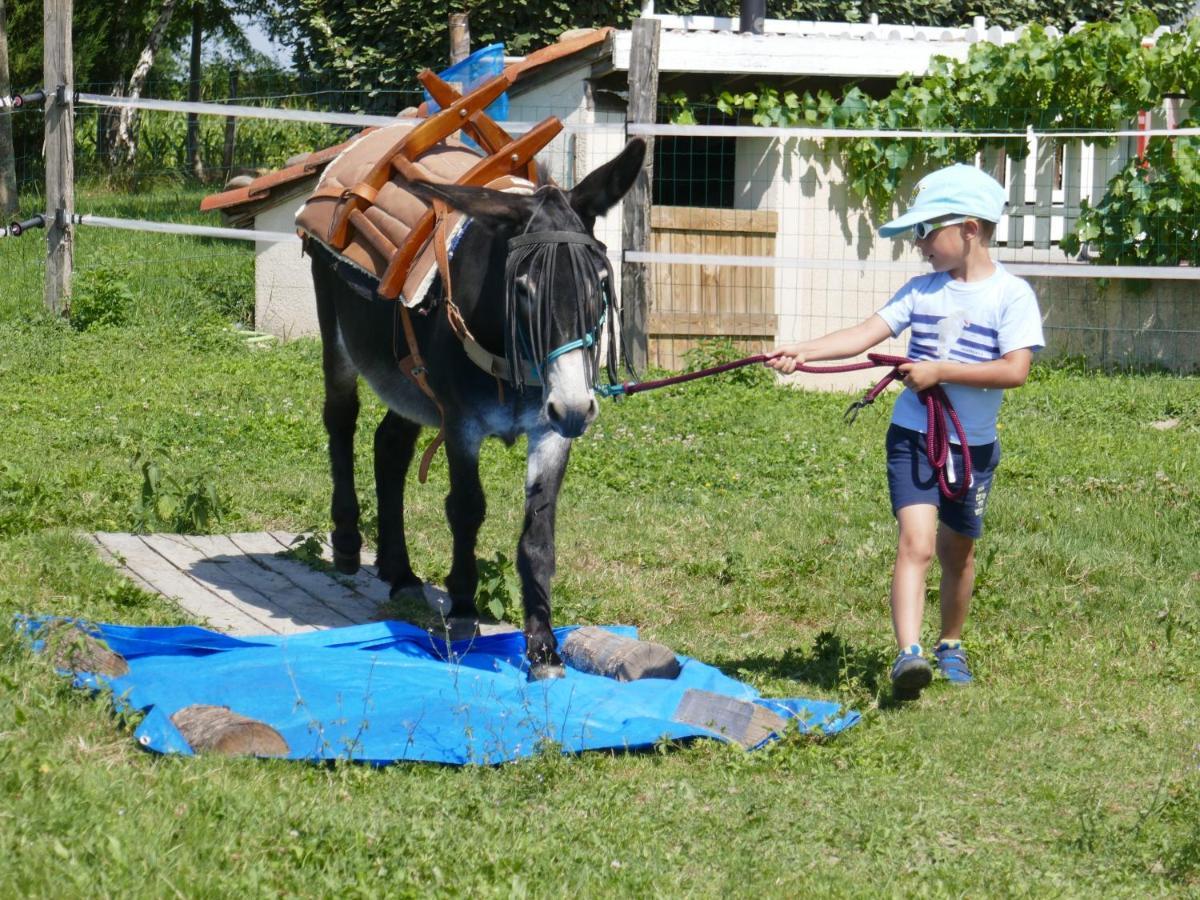 Gite En Comminges Franquevielle Buitenkant foto